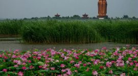 太白湖新区农业生产经营从业者培训